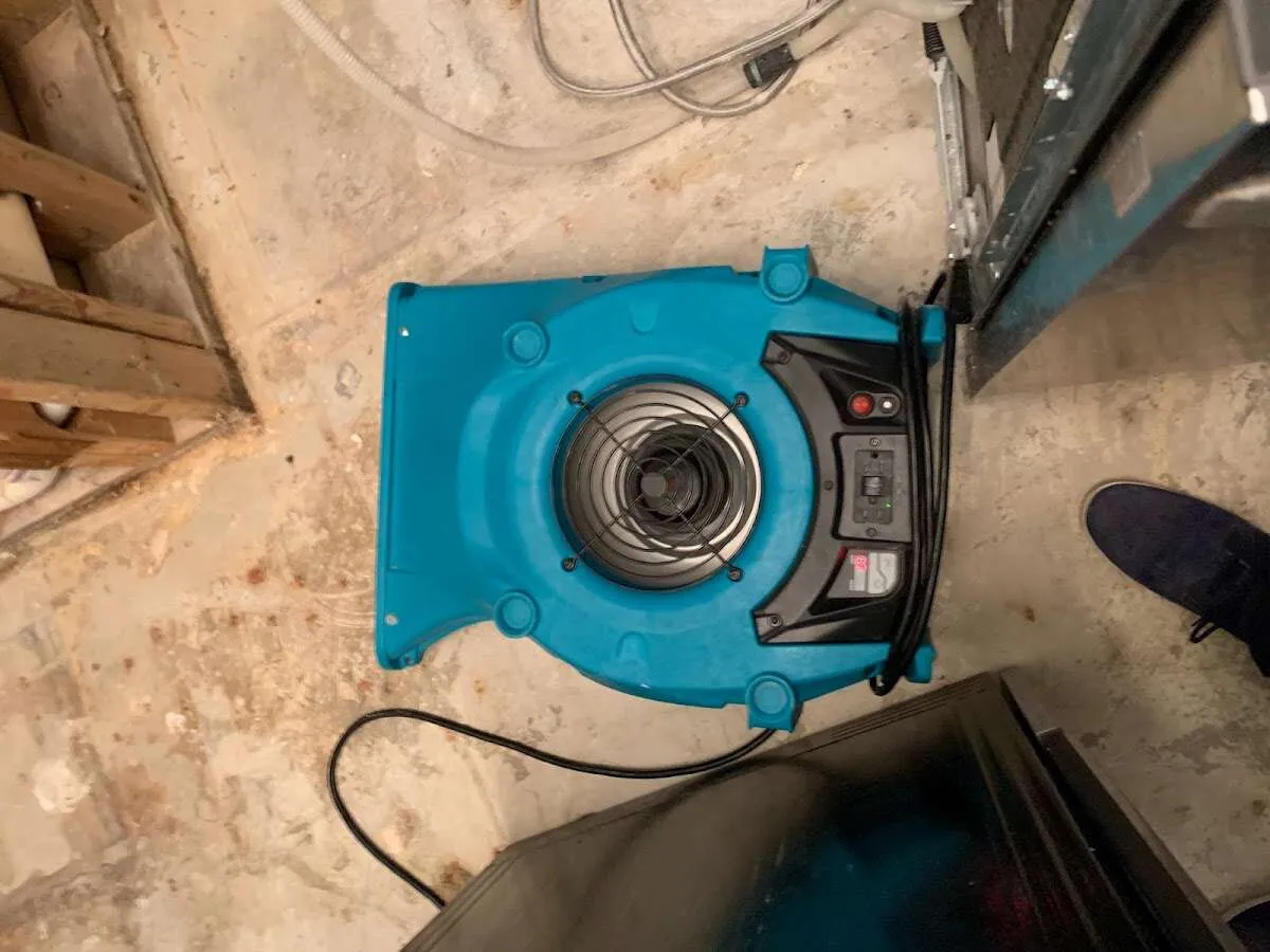 Air mover drying equipment for Mold Remediation & Removal in Orlando