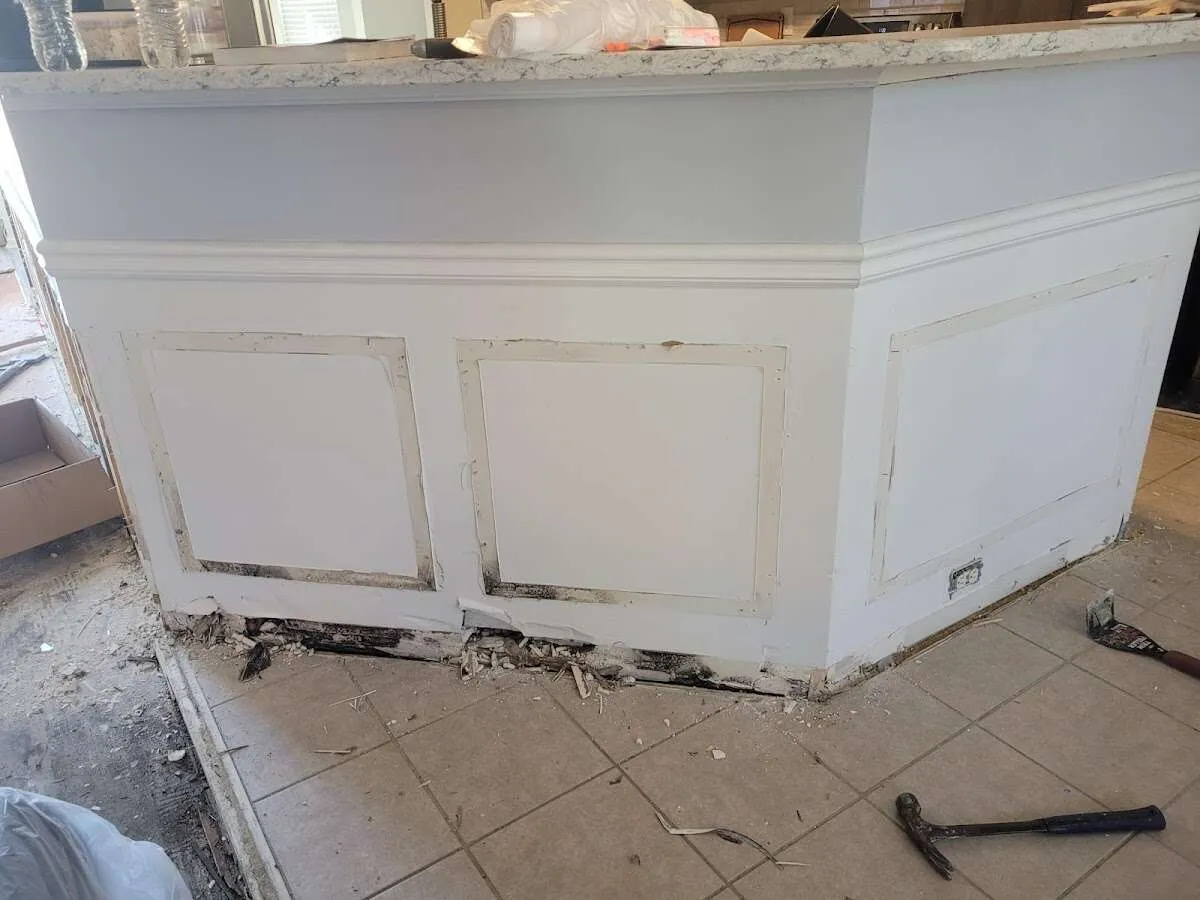 Water damage and mold on kitchen during Sewage Cleanup & Sanitation in Orlando